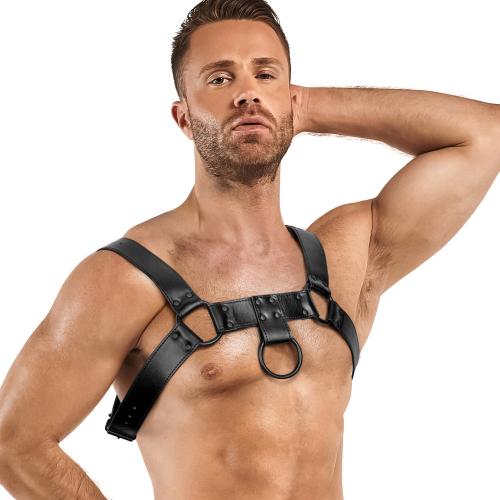 Bedroom Fantasies - Bruno Bondage-Harness - Schwarz